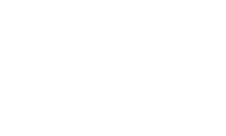 Descubre viajes